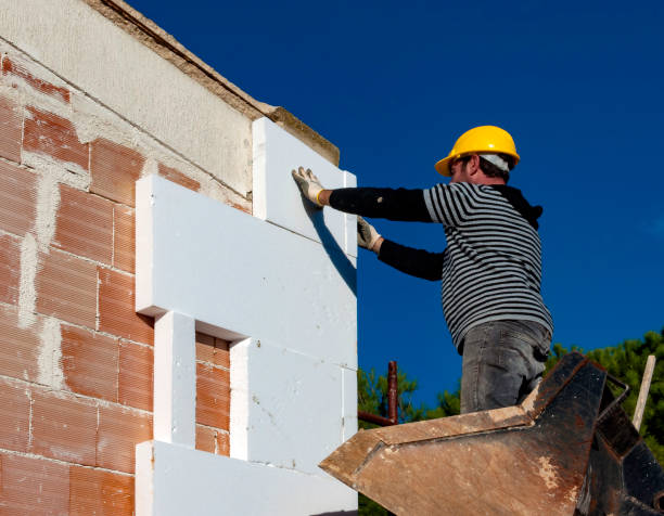 Best Cellulose Insulation in Ball Ground, GA