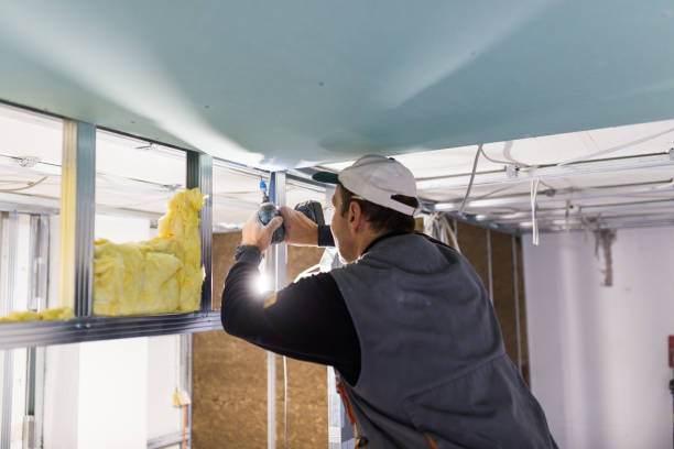 Best Geographic-Specific Insulation Services in Ball Ground, GA