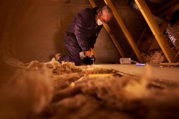 Professional Insulation Contractor in Ball Ground, GA