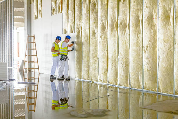 Best Eco-Friendly Insulation in Ball Ground, GA